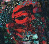 Warpaint: The fool