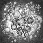 Long-distance-calling-2011