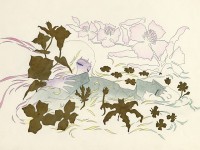 die-trag-die-der-belladonna_3