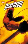 DAREDEVIL11AUFERSTEHUNG_880