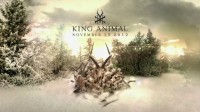 Soundgarden King Animal