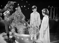 Peterchens Mondfahrt