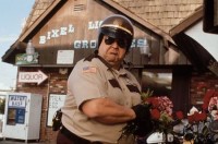 one_night_at_mccools_1