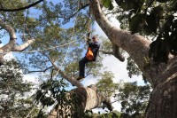 LA FORET DES PLUIES LUC JACQUET