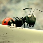 diewinzlinge_szenenbild_01-vorschau