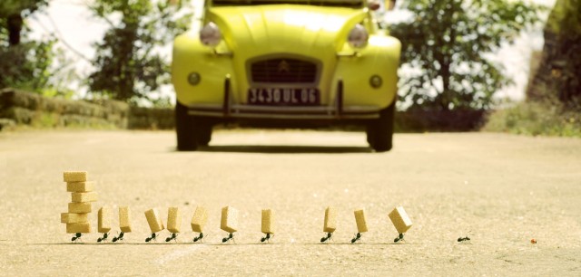 diewinzlinge_szenenbild_02