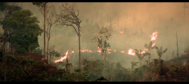 Cowspiracy-Szenenfoto_1