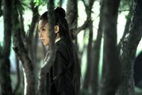 The_Assassin02_c_Delphi_Filmverleih