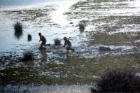 La-isla-minima-mörderland-4